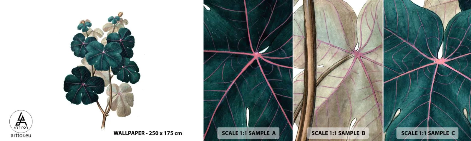 Mostră tapet autocolant Deluxe Sticker - Dintr-un vechi ierbar - Plantă, Frunze, Botanică - 100x30 cm