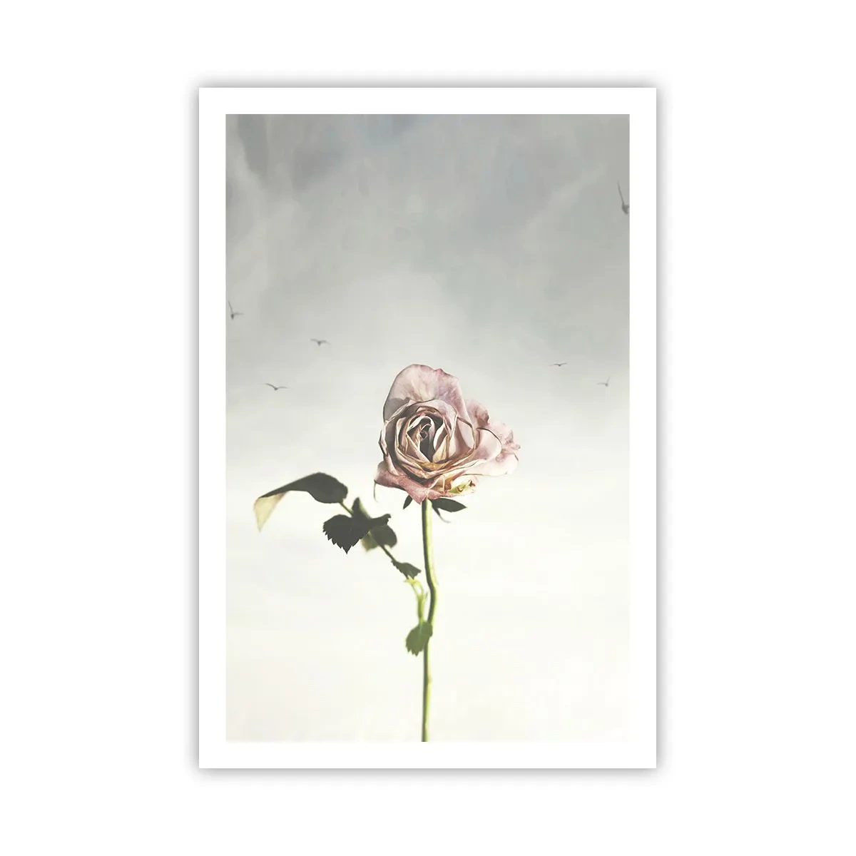 Poster - Primăvara binevenită - 61x91 cm