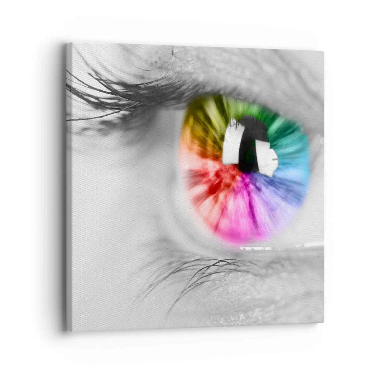 Tablou pe pânză - Priviți lumea în culori - 30x30 cm