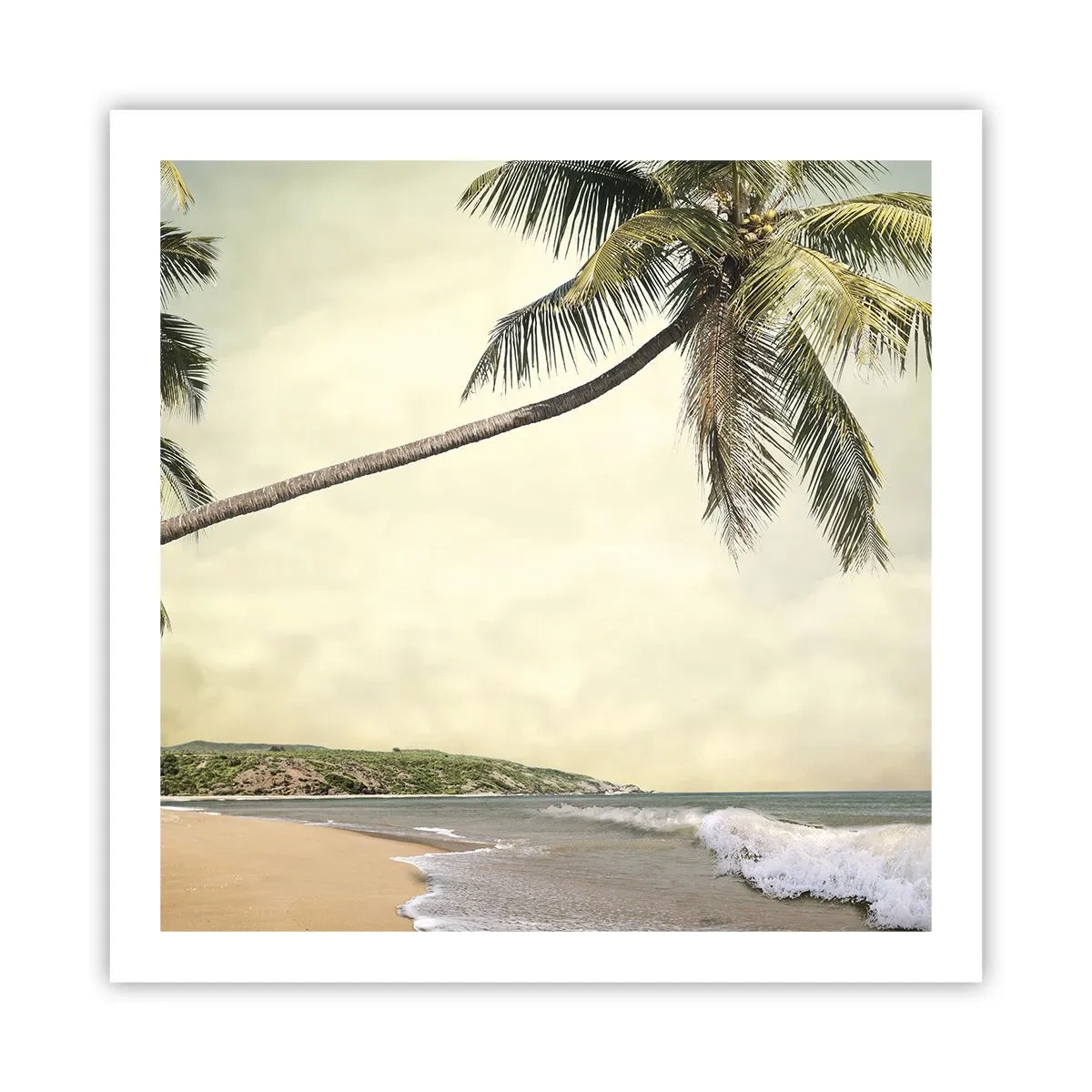 Poster - Vis tropical - 60x60 cm