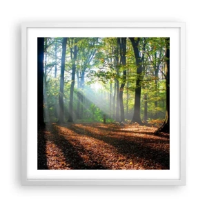 Poster în ramă albă - Străluciri și umbre - 50x50 cm