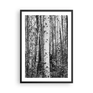 Poster în ramă neagră - Mesteacănii albi și negri formează o pădure simetrică - 50x70cm - Coloane de mesteacăn - Decorațiune modernă pentru perete pentru living și dormitor ARTTOR