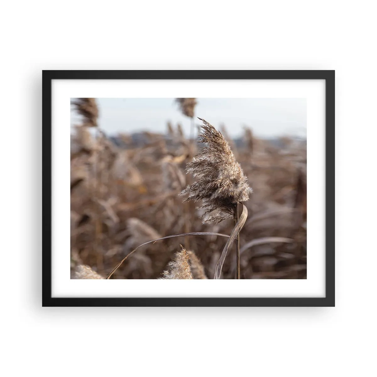 Poster în ramă neagră - E timpul să zbori cu vântul - 50x40 cm