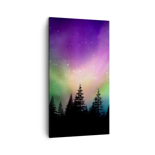 Tablou pe pânză - Magie albă - 45x80 cm