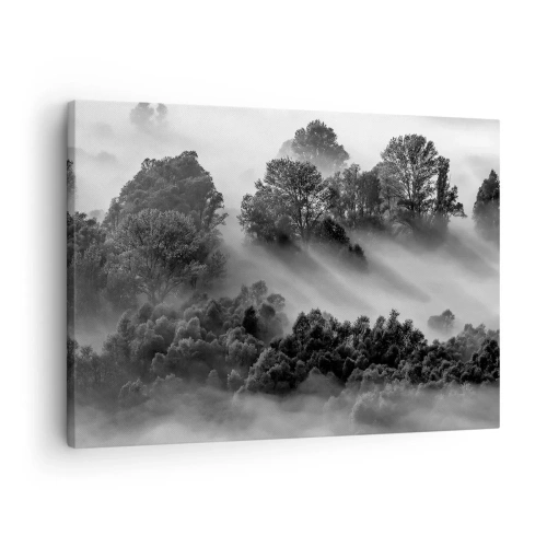 Tablou pe pânză Canvas - Peisaj de pădure alb-negru în ceața dimineții - 70x50cm - Trezindu-se din somn - Decorațiune modernă pentru perete pentru living și dormitor ARTTOR