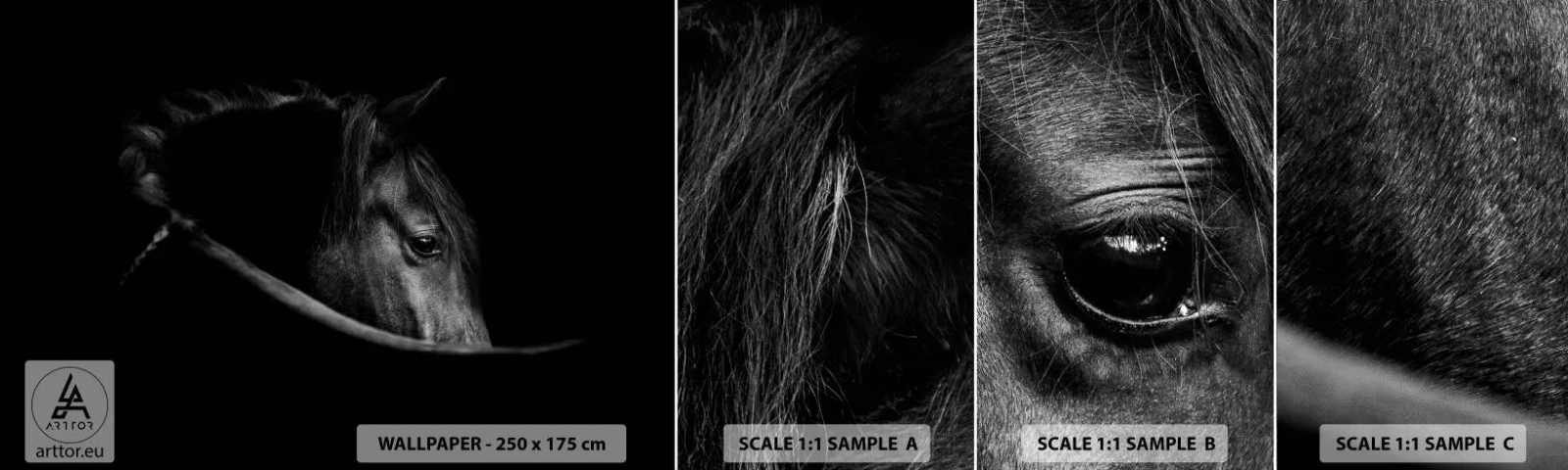 Mostră tapet autocolant Deluxe Sticker - Prințul negru - Cal, Animal, Artistic - 100x30 cm