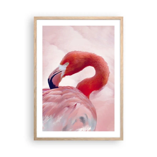 Poster în ramă de stejar deschis - Frumusețea păsărilor - 50x70 cm