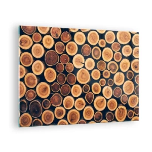 Tablou pe sticlă - Vedere a trunchiurilor de copaci tăiați, aranjate la rând - 70x50cm - Cât de bătrân sunt? - Decorațiune modernă pentru perete pentru living și dormitor ARTTOR