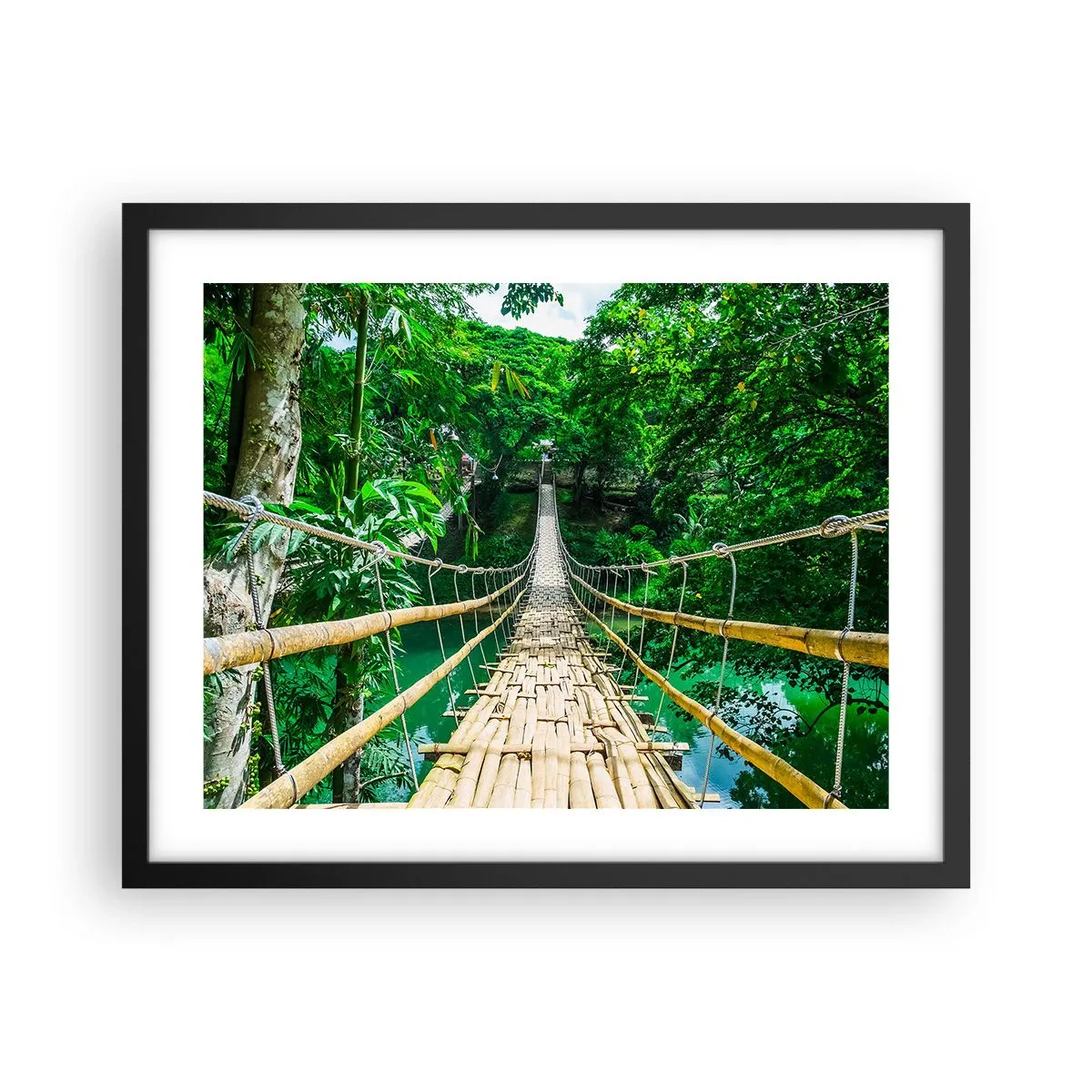 Poster în ramă neagră - Pod de maimuțe peste verdeață - 50x40 cm