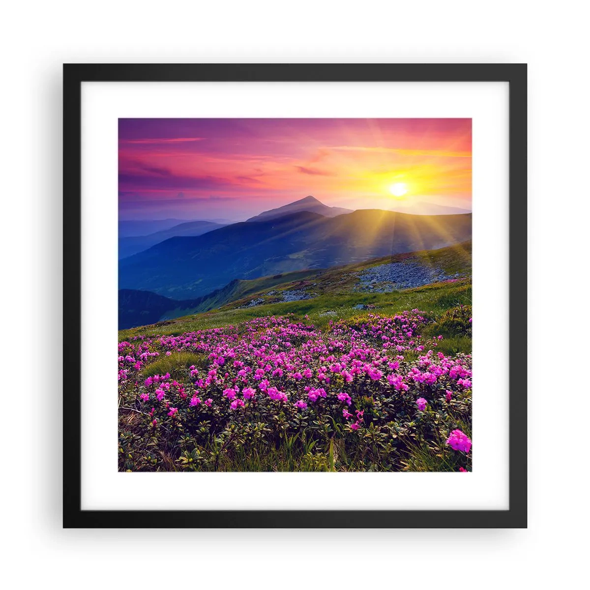 Poster în ramă neagră - ... Și peste tot în jur se simte un miros de jneapăn și parfum de ierburi... - 40x40 cm