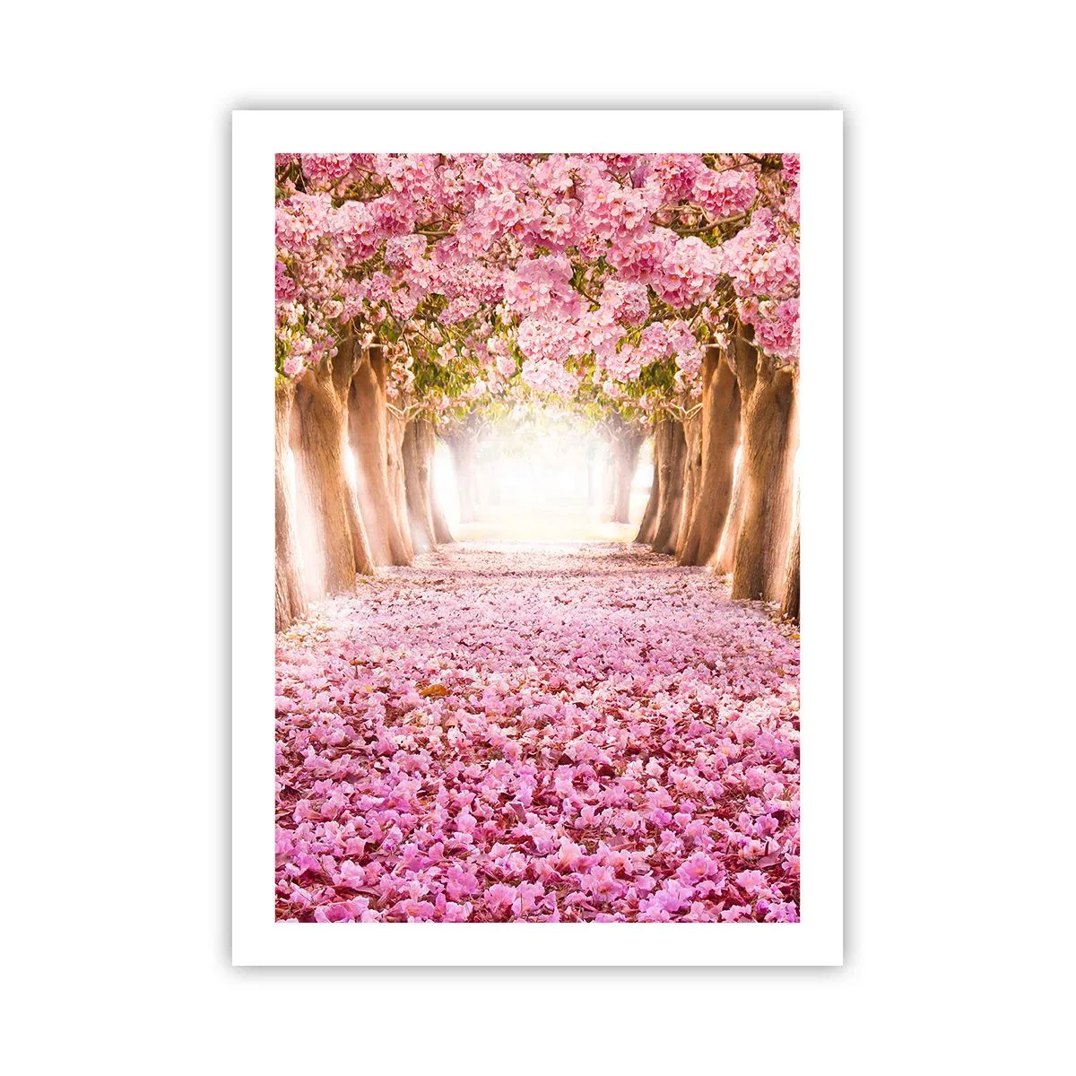 Poster - Drumul spre paradis - 50x70 cm