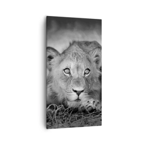 Tablou pe pânză - Pisicuța regală - 55x100 cm