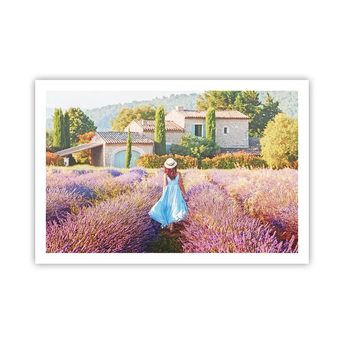 Poster - Fata de lavandă - 91x61 cm