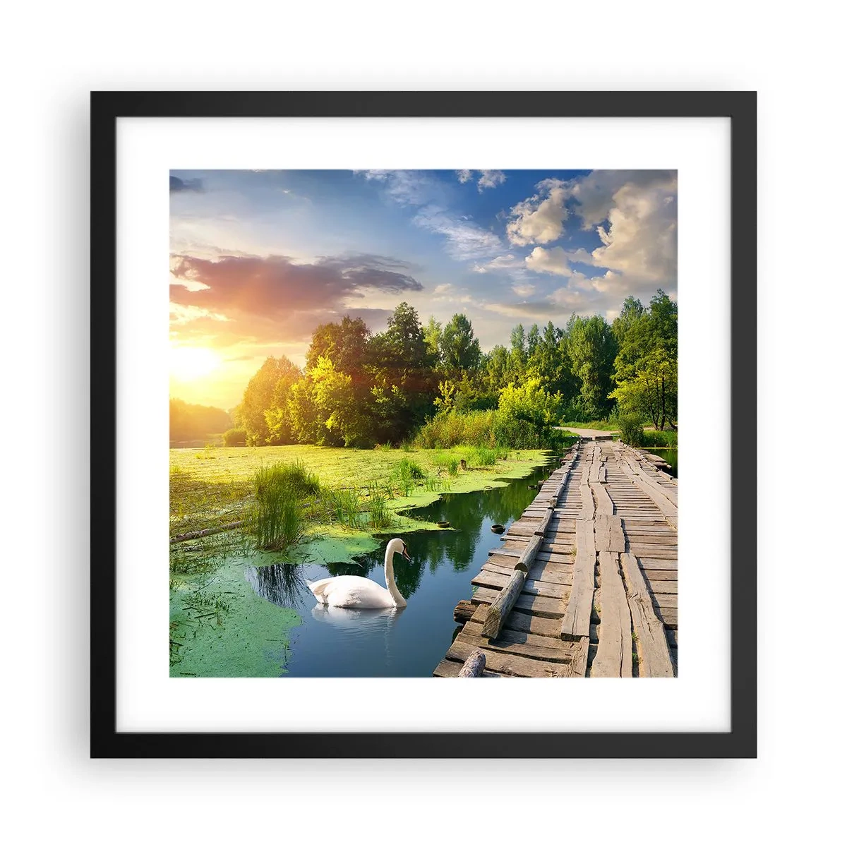 Poster în ramă neagră - Vară, vară peste tot - 40x40 cm
