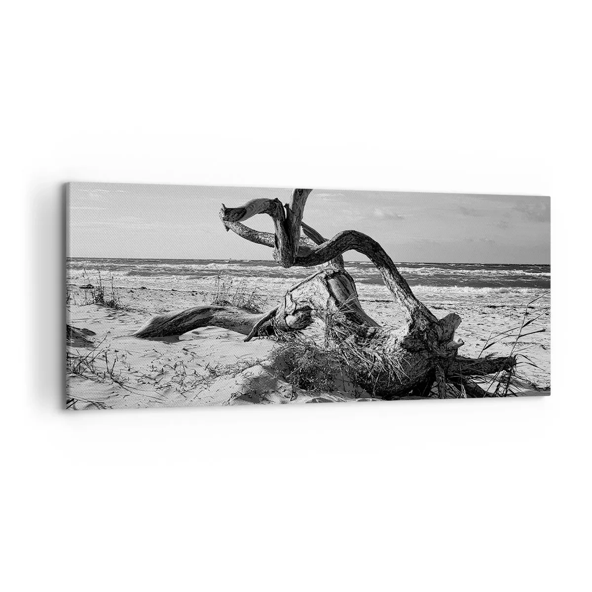 Tablou pe pânză - Sculptură marină - 120x50 cm