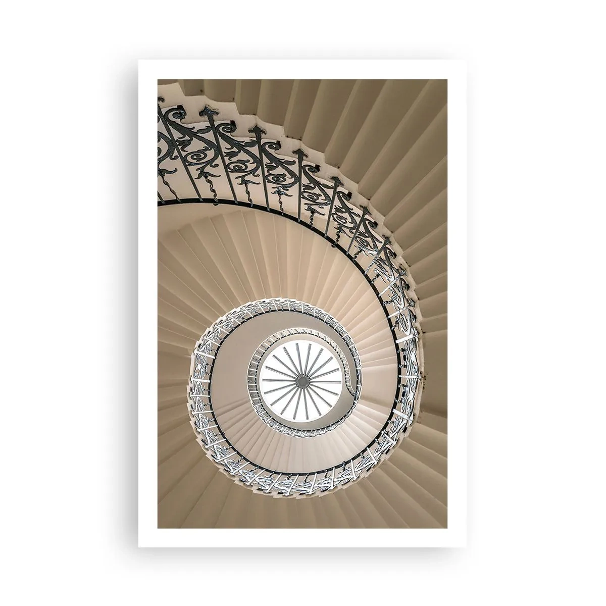 Poster - În interiorul cochiliei - 61x91 cm