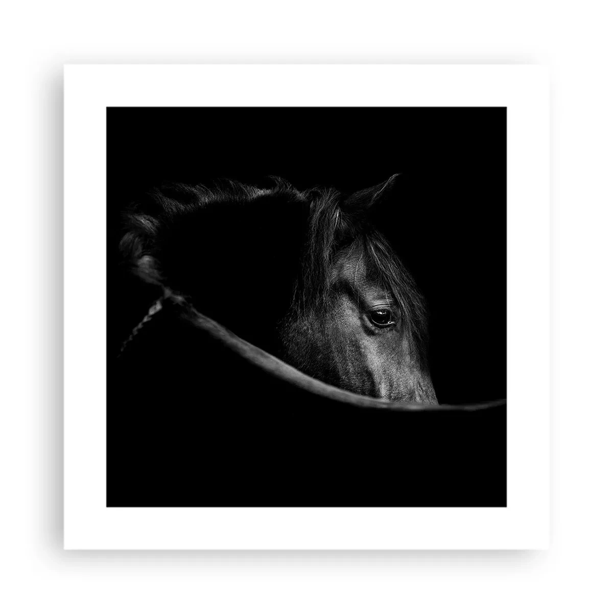 Poster - Prințul negru - 40x40 cm