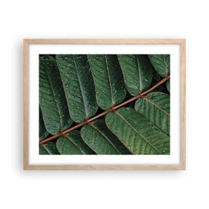 Poster în ramă de stejar deschis - Într-un ritm verde - 50x40 cm