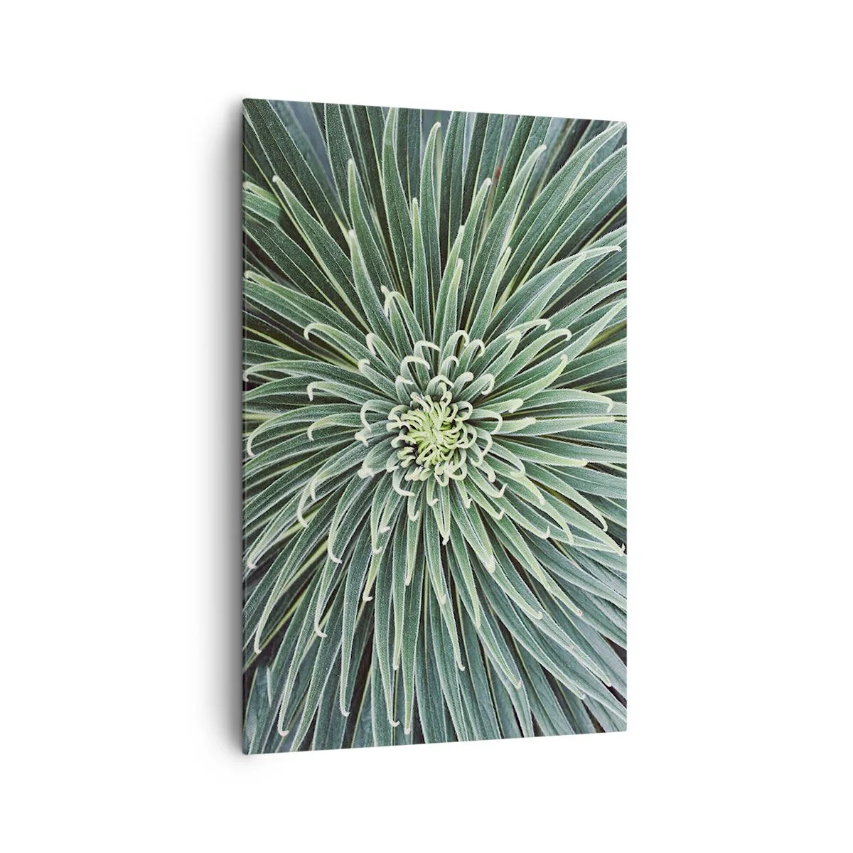 Tablou pe pânză - Nașterea unei stele - 80x120 cm