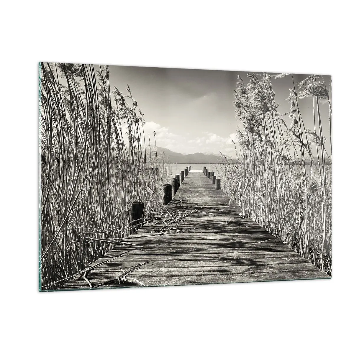 Tablou pe sticlă - În intimitatea ierburilor - 120x80 cm