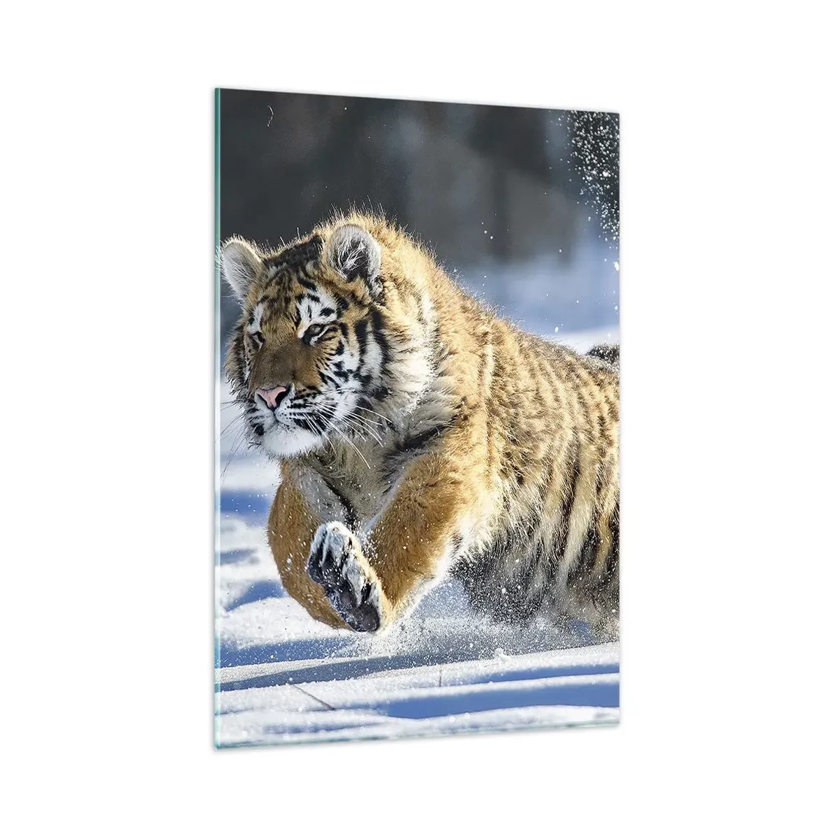 Tablou pe sticlă - Zeu al taigalei siberiene - 80x120 cm