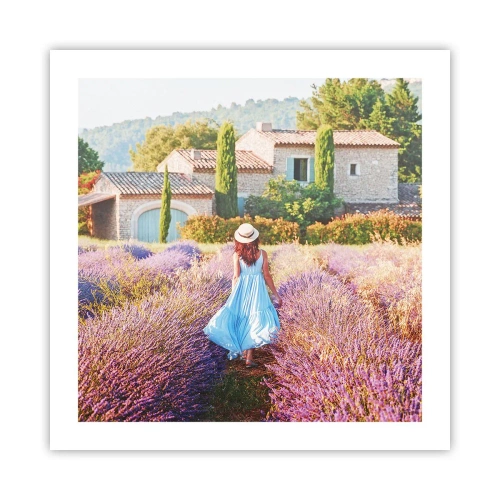 Poster - Fata de lavandă - 50x50 cm