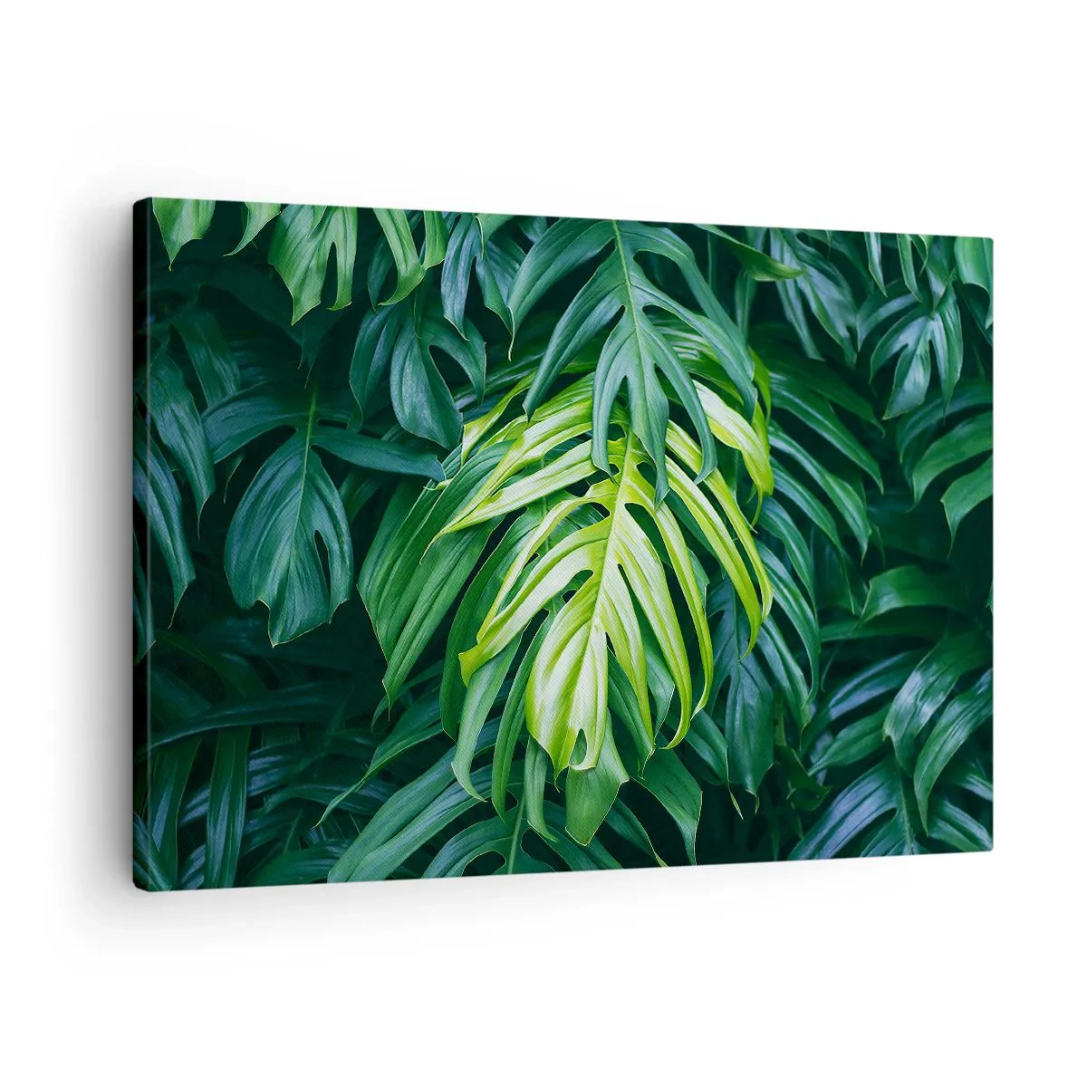 Tablou pe pânză Canvas - Frunze verzi într-un aranjament tropical dens - 70x50cm - Scufundă-te în prospețime - Decorațiune modernă pentru perete pentru living și dormitor ARTTOR