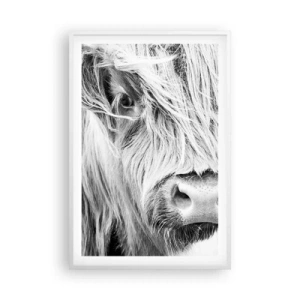 Poster în ramă albă - Sălbăticie scoțiană - 61x91 cm