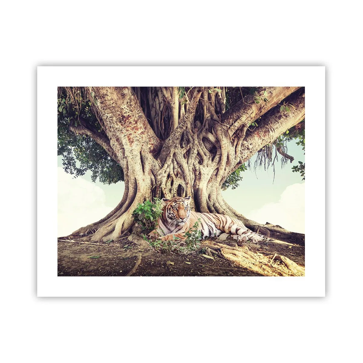 Poster - O perspectivă din Geneză - 50x40 cm