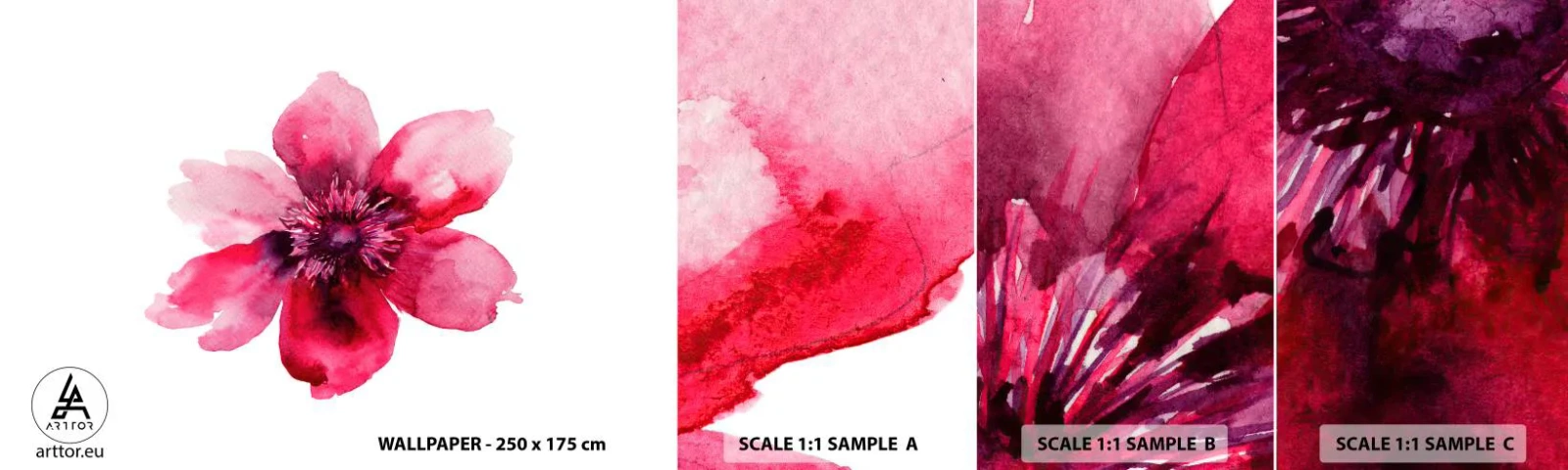 Mostră de Tapet Standard Eco - Sărut parfumat de carmin - Floare, Acuarele, Grafică - 100x30 cm