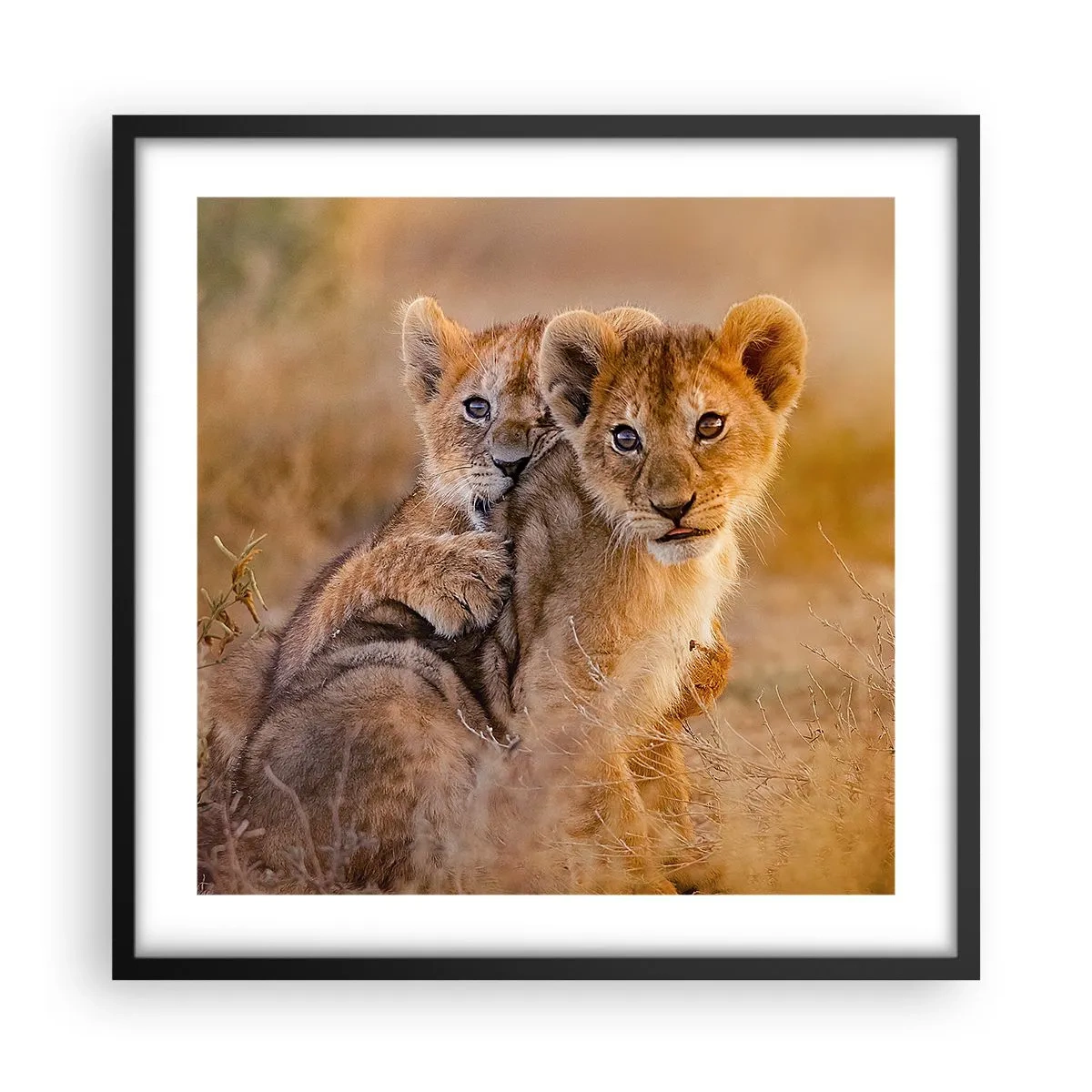 Poster în ramă neagră - Nu deranjați! Ne distrăm - 50x50 cm