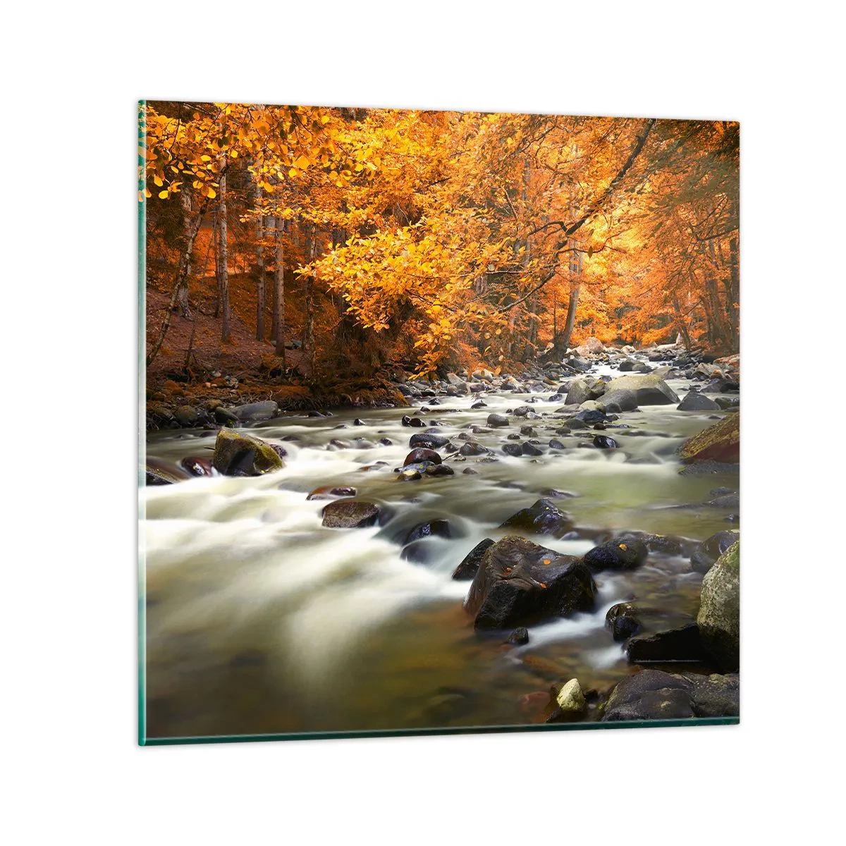 Tablou pe sticlă - Un pârâu într-o pădure de aur - 60x60 cm