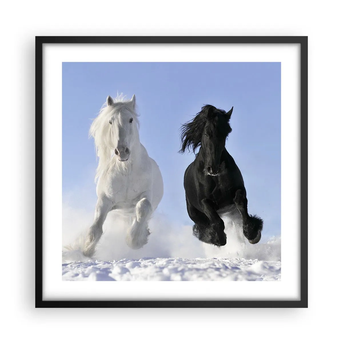 Poster în ramă neagră - Galop de alb și negru - 50x50 cm