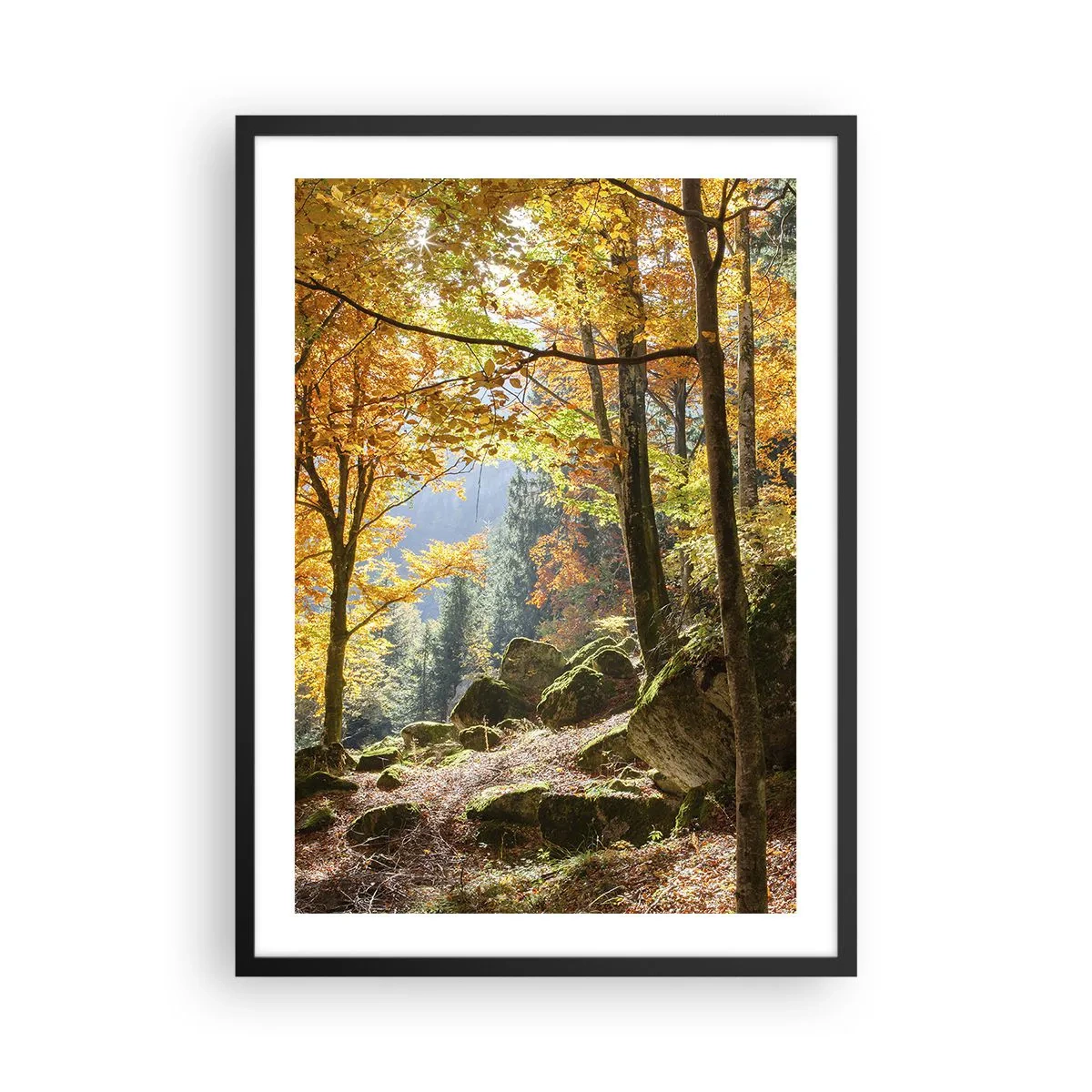 Poster în ramă neagră - Pădure de toamnă cu raze de soare și pietre acoperite de mușchi - 50x70cm - Timp de relaxare - Decorațiune modernă pentru perete pentru living și dormitor ARTTOR