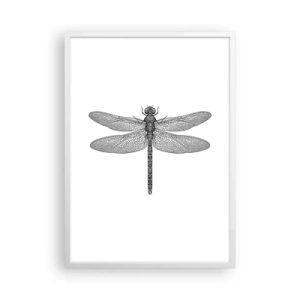 Poster în ramă albă - Precizia naturii - 50x70 cm