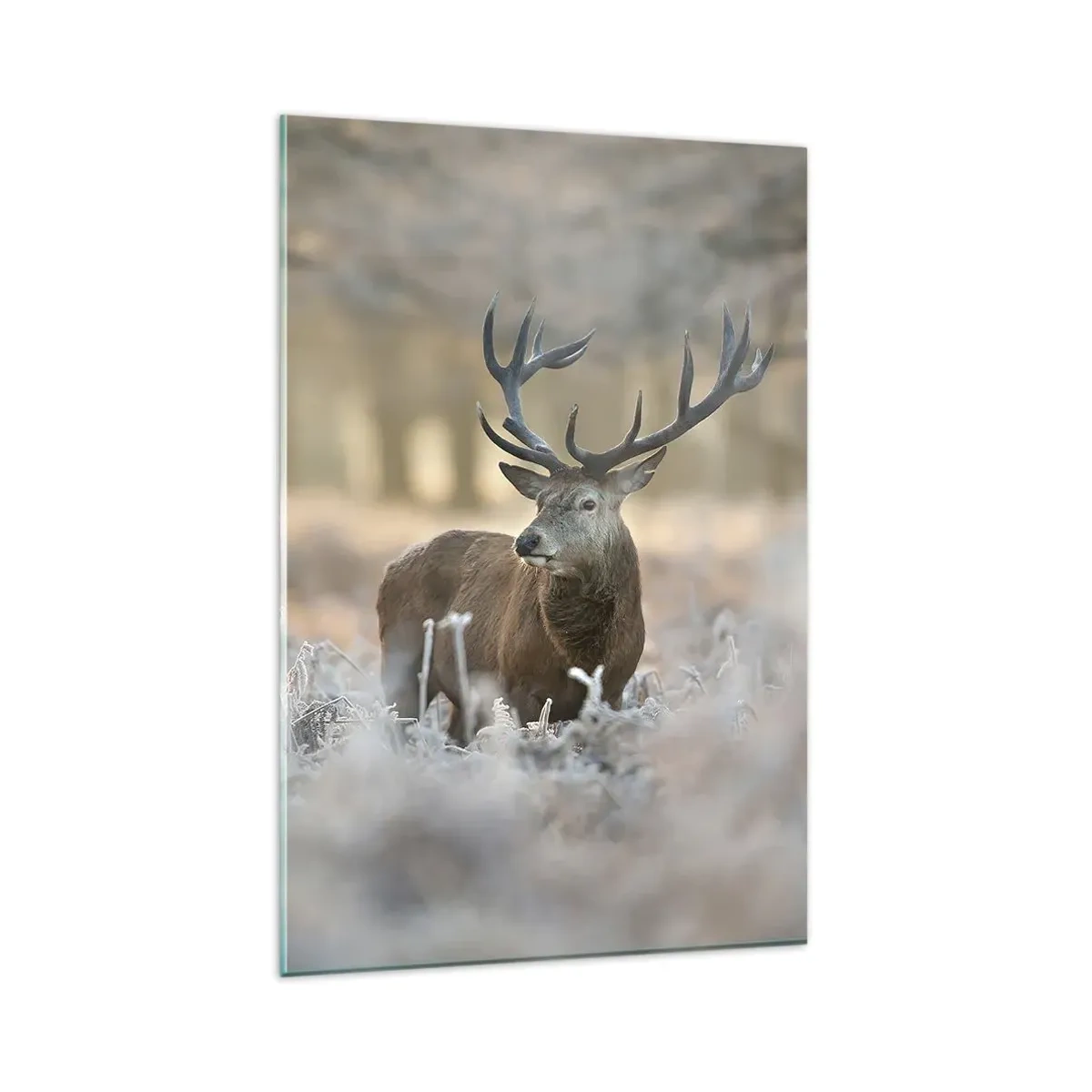 Tablou pe sticlă - O dimineață răcoroasă - 80x120 cm