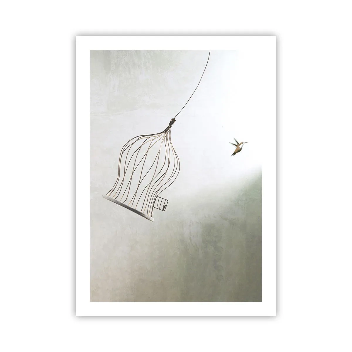Poster - Eliberat - 50x70 cm