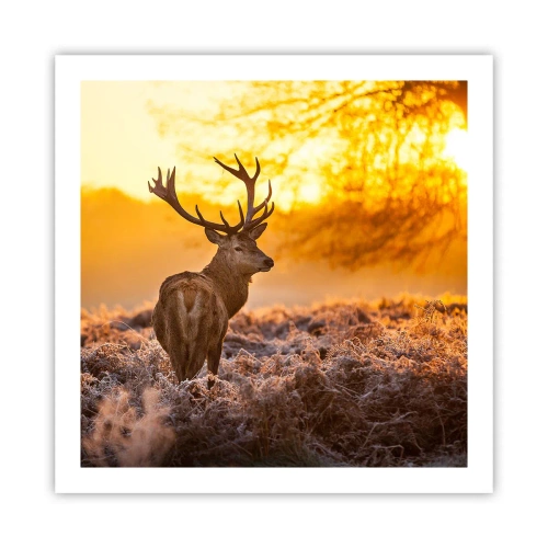 Poster - Regele pădurii de toamnă - 60x60 cm