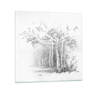 Tablou pe sticlă - Lumina pădurii de mesteceni - 60x60 cm