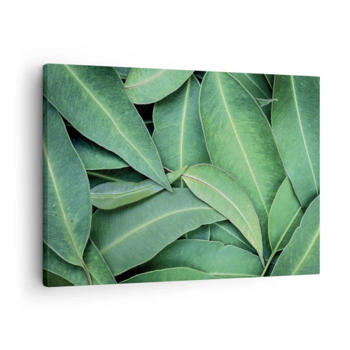 Tablou pe pânză Canvas - Prim-plan cu frunze verzi care creează un model natural - 70x50cm - Suculente și proaspete - Decorațiune modernă pentru perete pentru living și dormitor ARTTOR