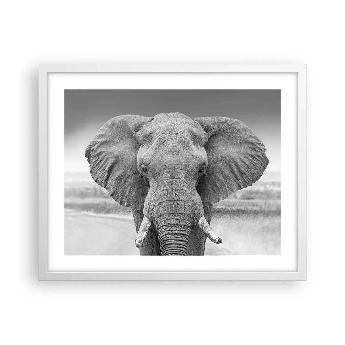 Poster în ramă albă - Bun venit în lumea mea - 50x40 cm