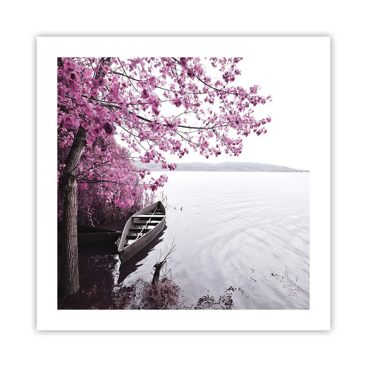 Poster - În tăcerea roz - 50x50 cm