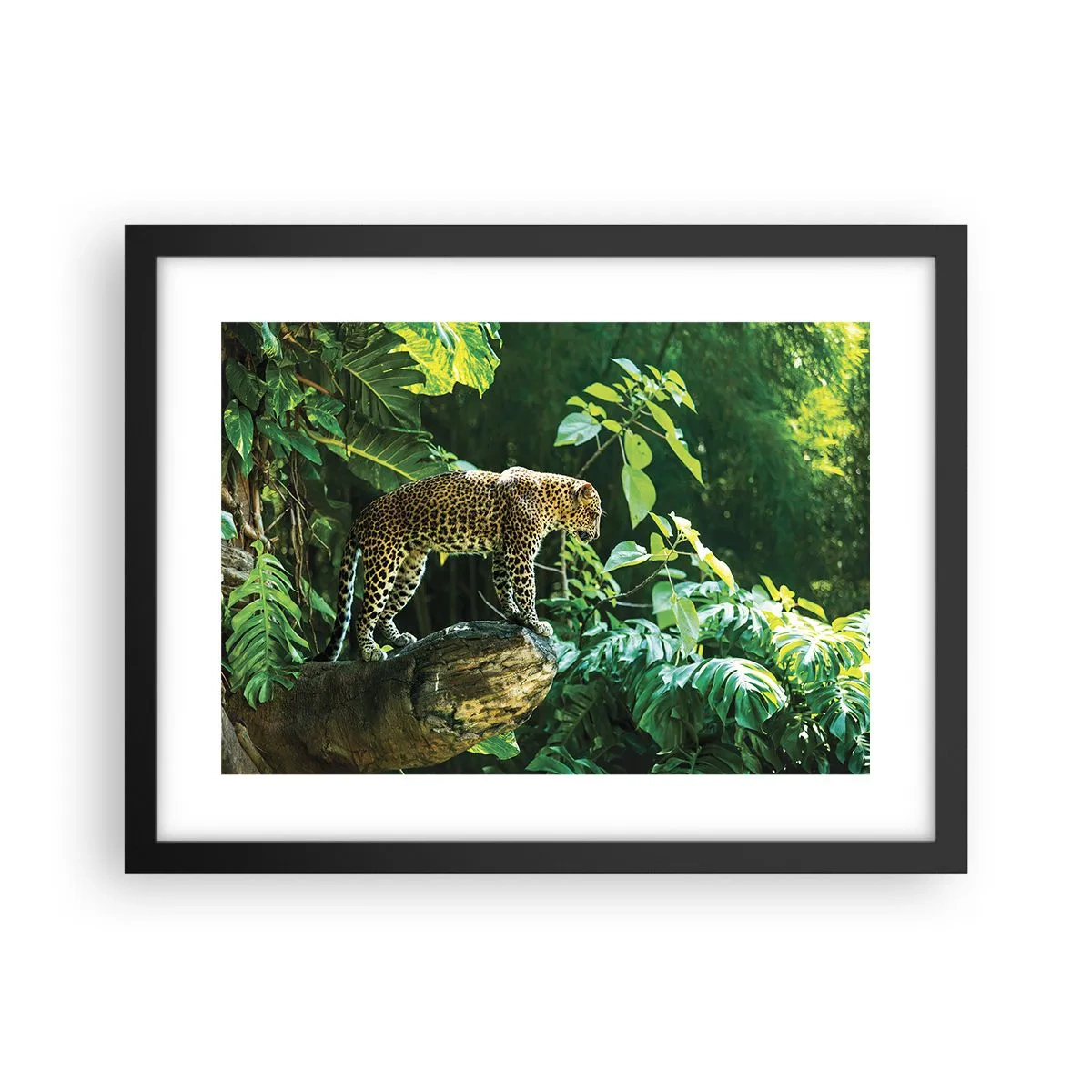 Poster în ramă neagră - La vânătoare? - 40x30 cm