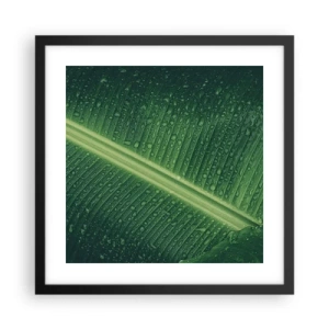 Poster în ramă neagră - Structura verdelui - 40x40 cm