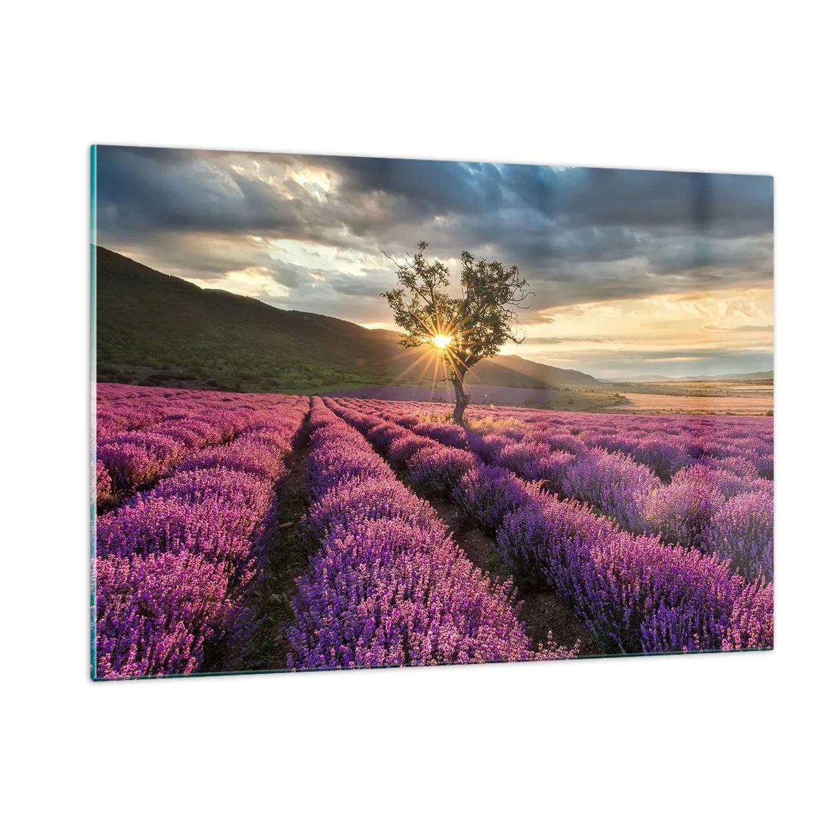 Tablou pe sticlă - Aroma în liliac - 120x80 cm