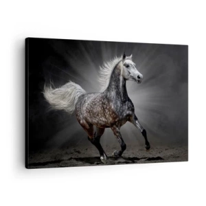 Tablou pe pânză Canvas - Un cal alb galopând pe un fundal întunecat - 70x50cm - Griul elefantin este frumos - Decorațiune modernă pentru perete pentru living și dormitor ARTTOR