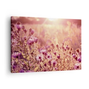 Tablou pe pânză Canvas - Pajiște în lumina soarelui care apune - 70x50cm - Înainte ca vara să plece - Decorațiune modernă pentru perete pentru living și dormitor ARTTOR