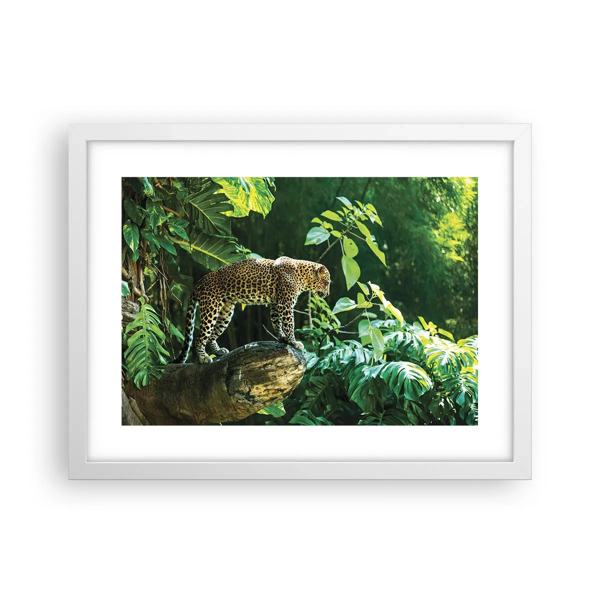 Poster în ramă albă - La vânătoare? - 40x30 cm