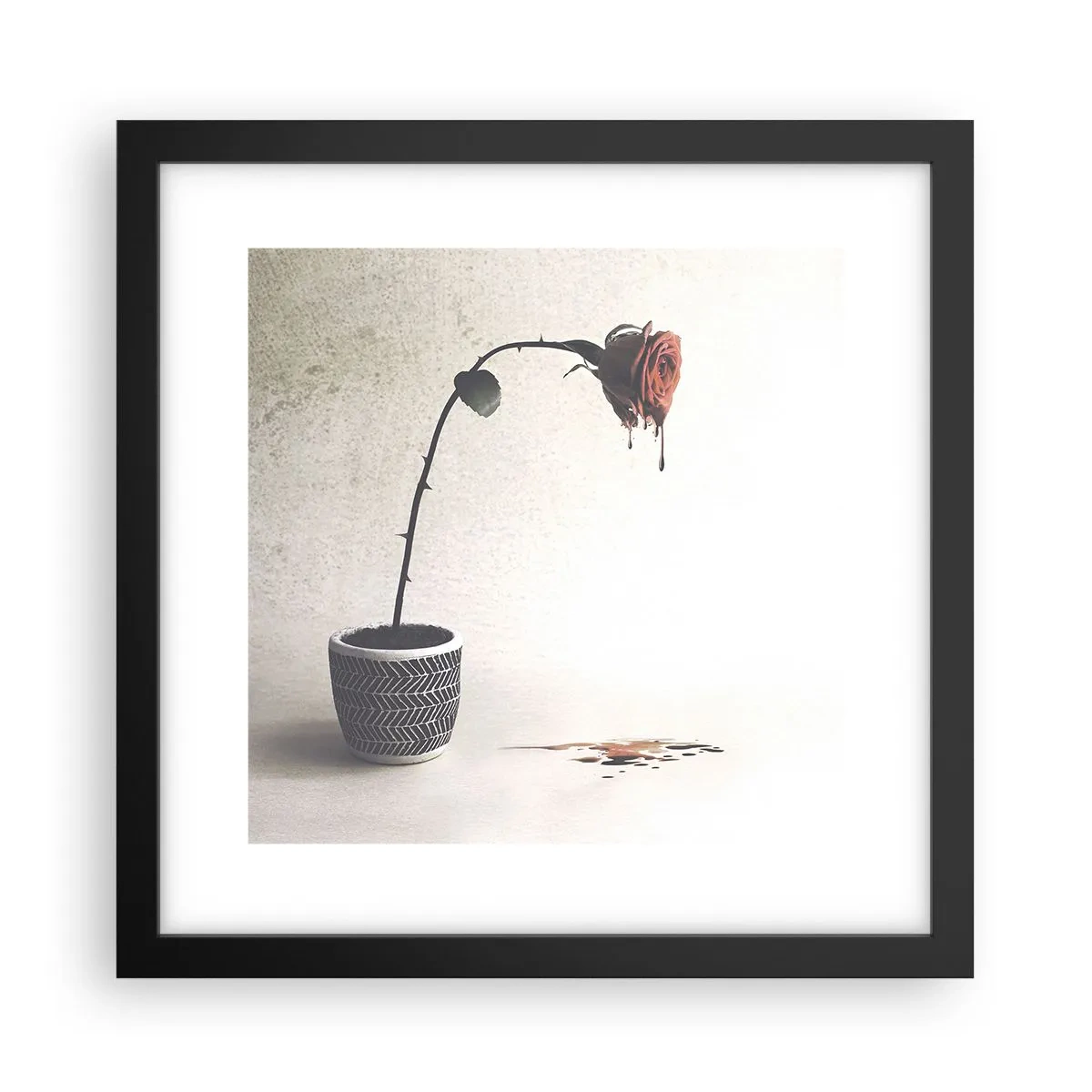 Poster în ramă neagră - Rosa dolorosa - 30x30 cm