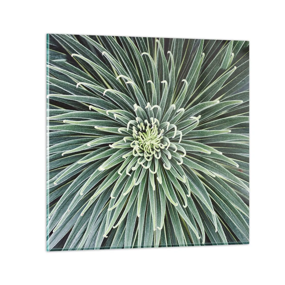 Tablou pe sticlă - Nașterea unei stele - 60x60 cm